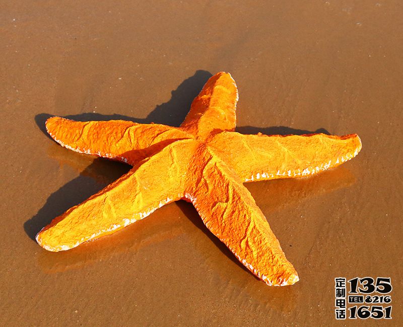 戶(hù)外沙灘玻璃鋼大型仿真海星雕塑 戶(hù)外沙灘玻璃鋼大型仿真海星雕塑